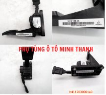 Bàn đạp ga foton