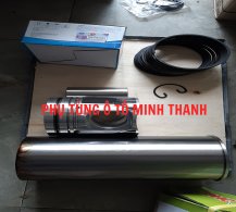 Bộ hơi Wechai ruột