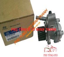 Bơm trợ lực County