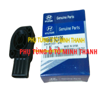 Cảm biến chân ga