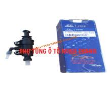 Heo côn trên Solati