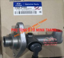 Heo côn trên County cơ