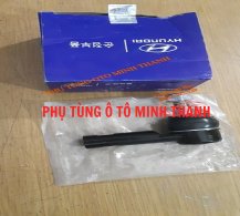 Rô tin lái trong Solati