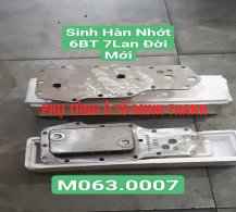 sinh sương hàn Dongfeng