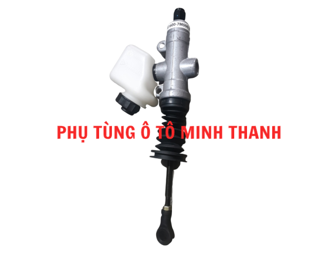 Heo côn trên Trago